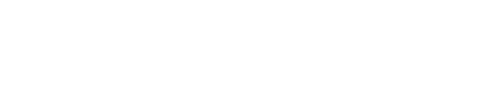 Licitanet